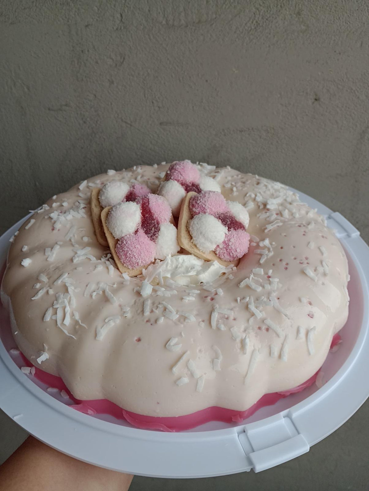 Family size sponch cookie gelatin
